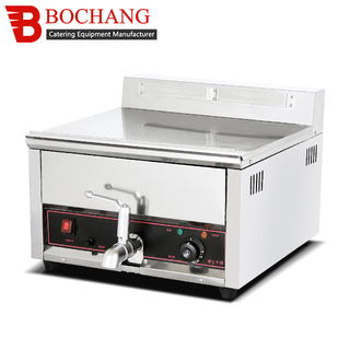 Electric Temperature-comtrolled Fryer